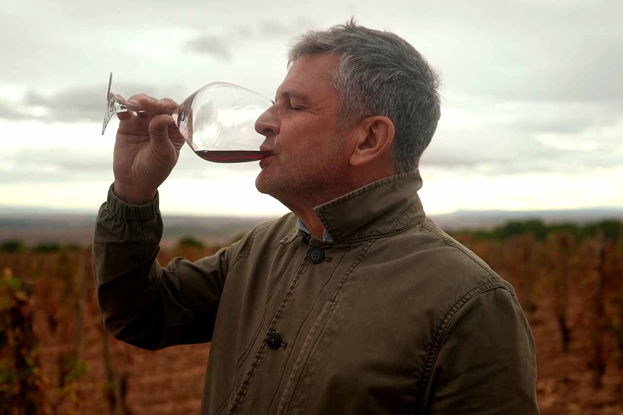 Crítica Rioja, la tierra de los mil vinos