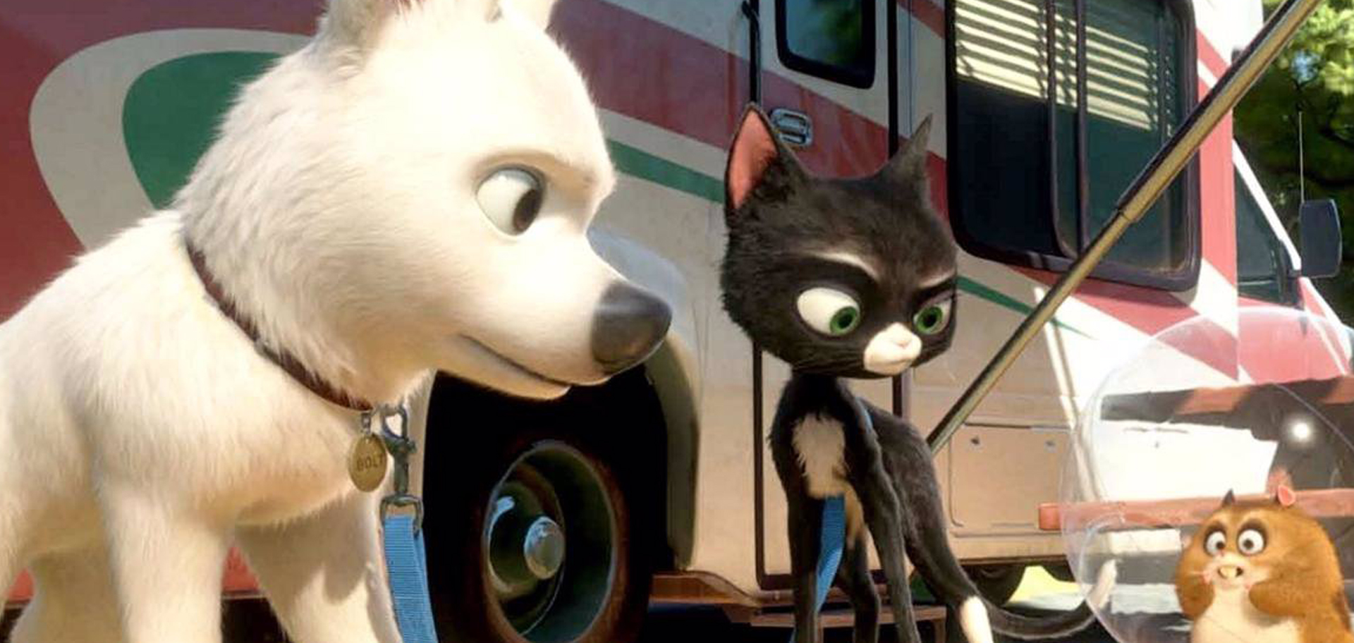Bolt