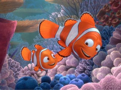 Buscando a Nemo