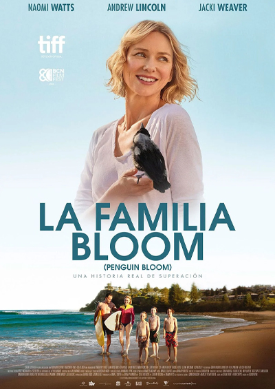Portada de La familia Bloom