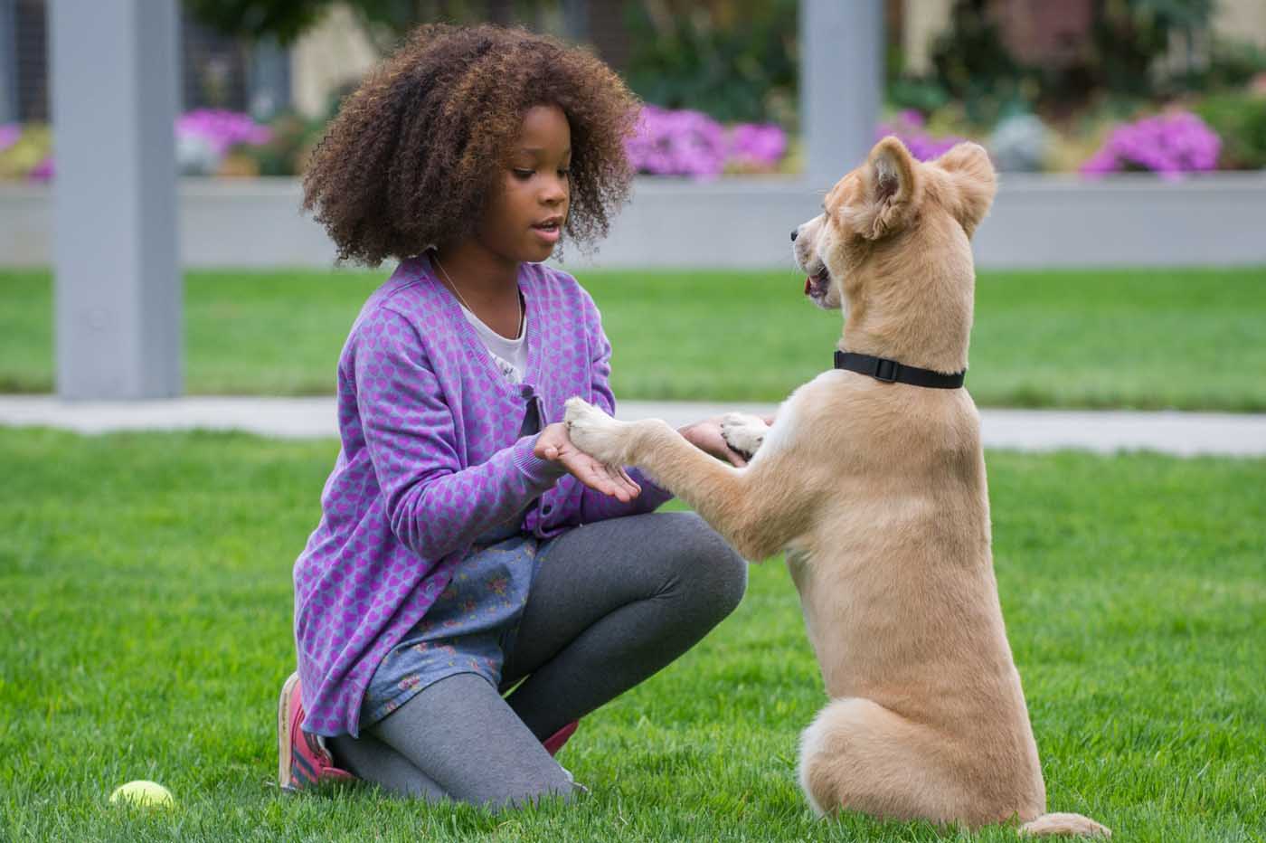 Annie (2014)