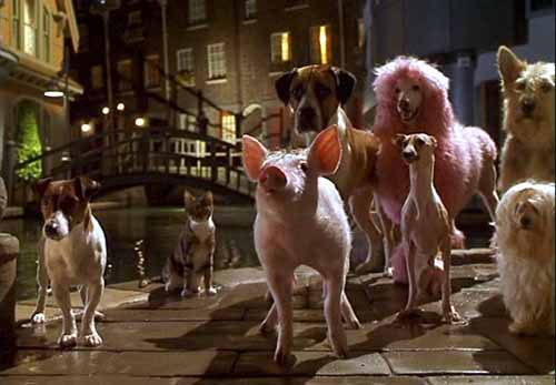 Babe, el cerdito en la ciudad