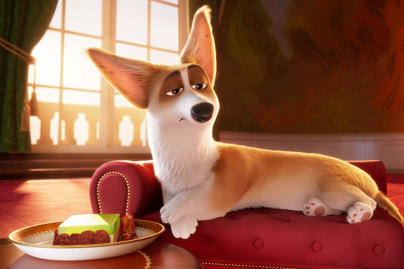 Corgi: Las mascotas de la reina