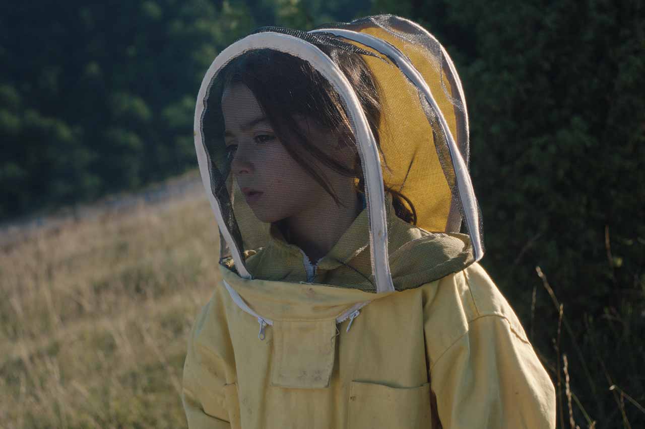 20.000 especies de abejas
