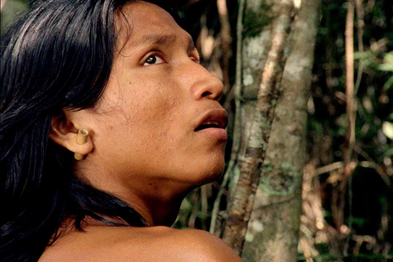 El canto de la selva