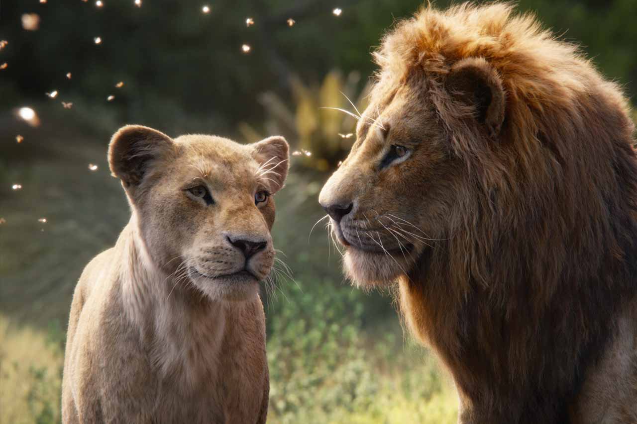 El rey león