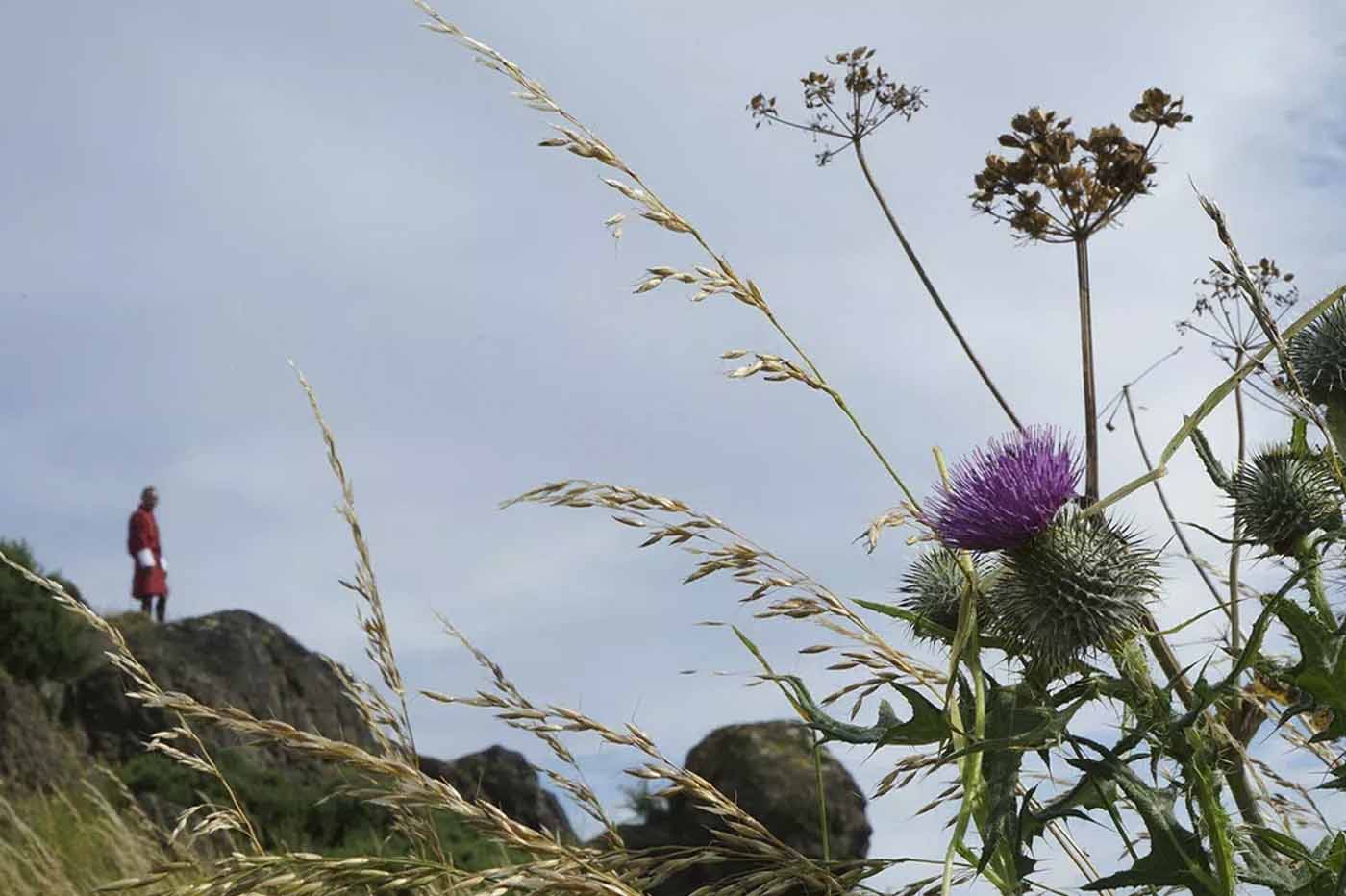 La hora de la naturaleza