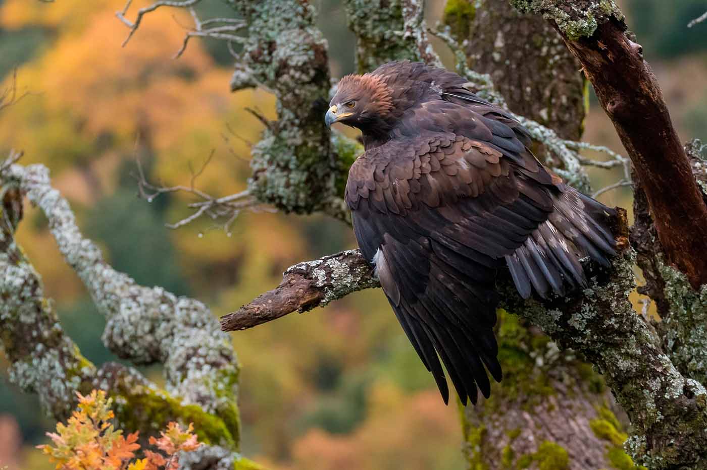 Iberia, naturaleza infinita
