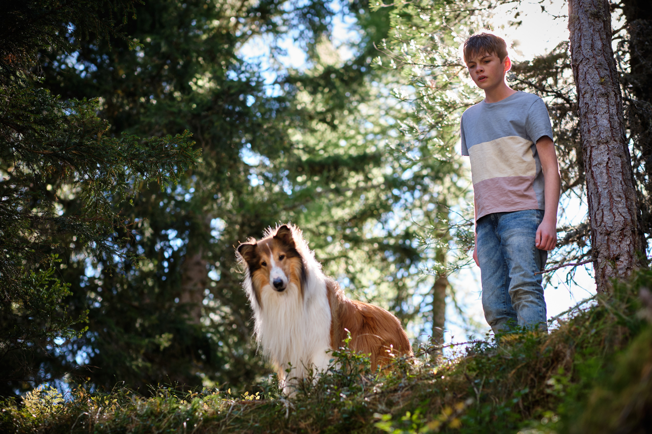 Lassie. Una nueva aventura