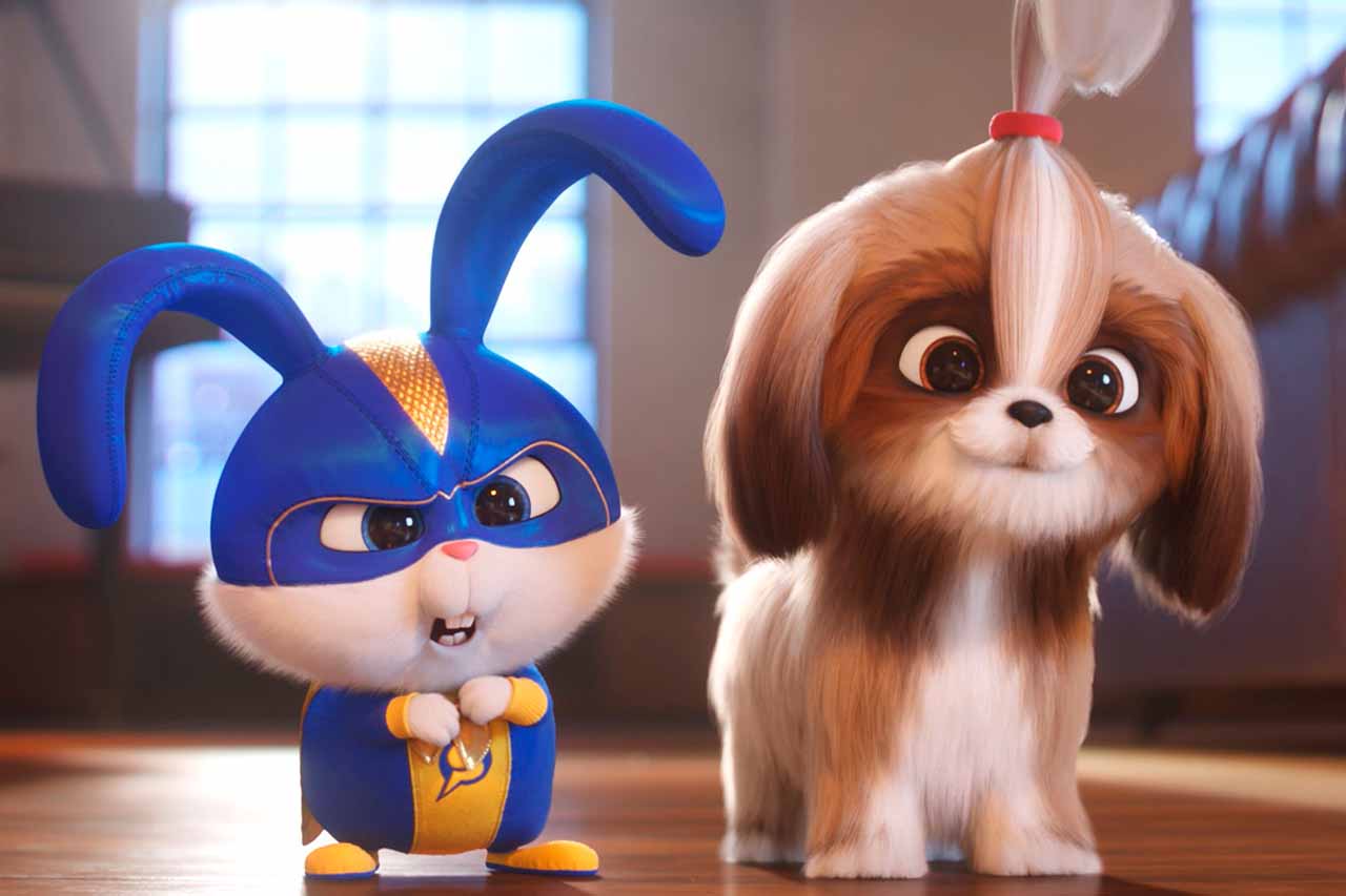 Mascotas 2