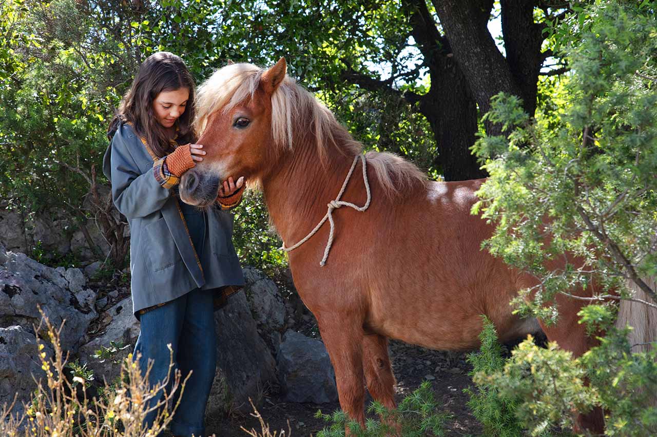 Mi amigo pony