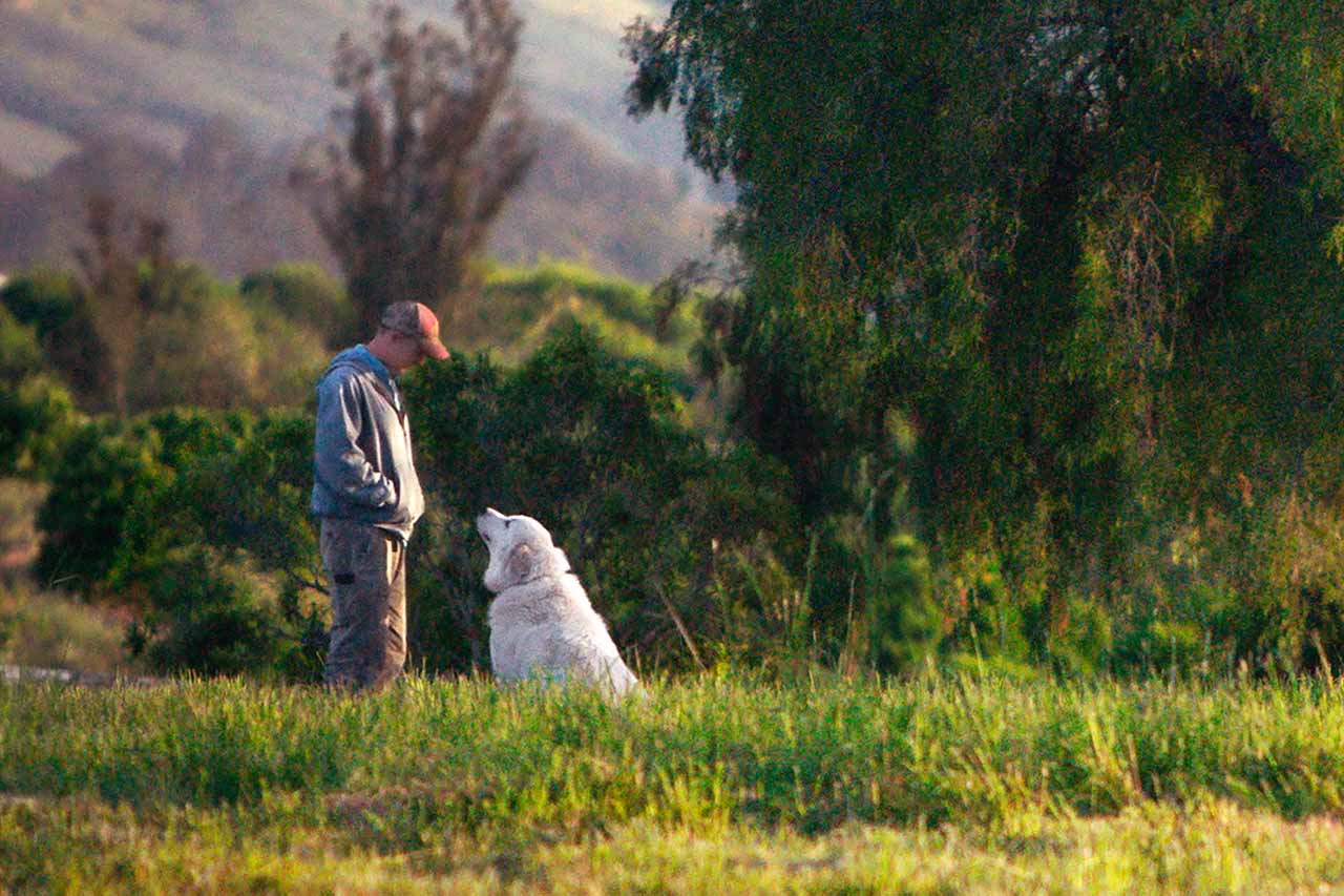 Mi gran pequeña granja