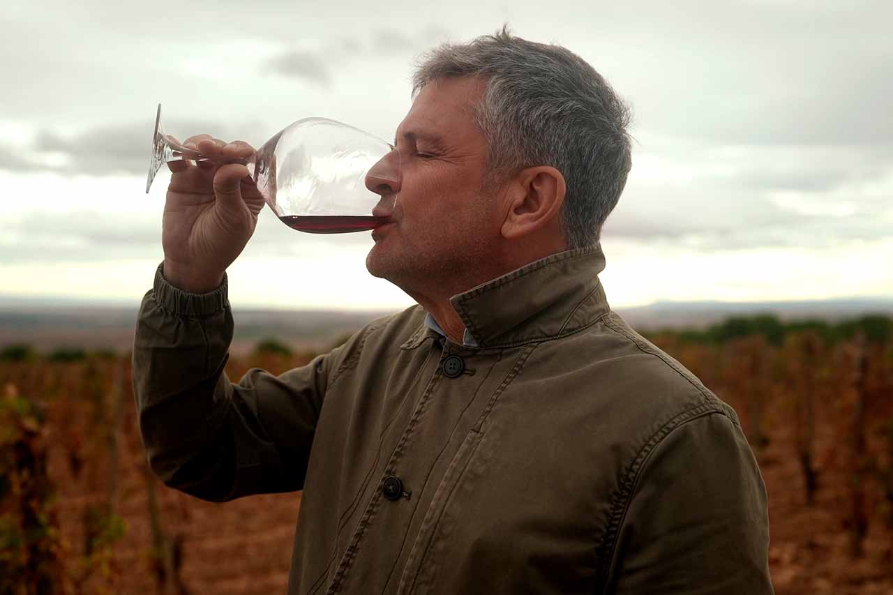 Rioja, la tierra de los mil vinos
