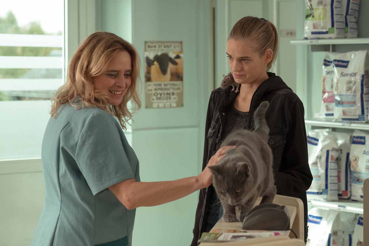 Una veterinaria en la Borgoña