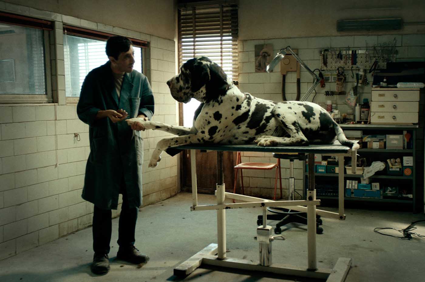 Dogman
