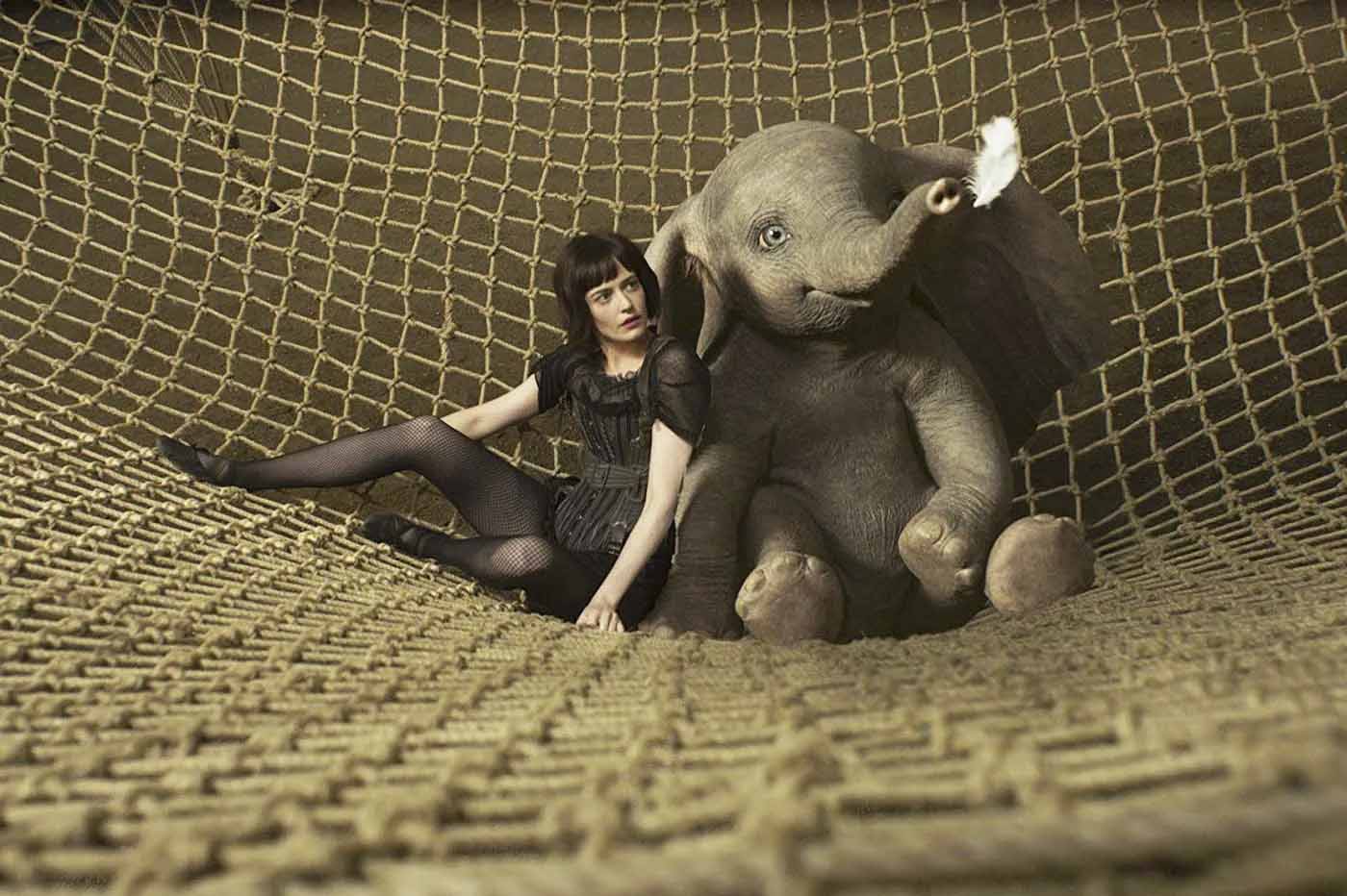 Dumbo