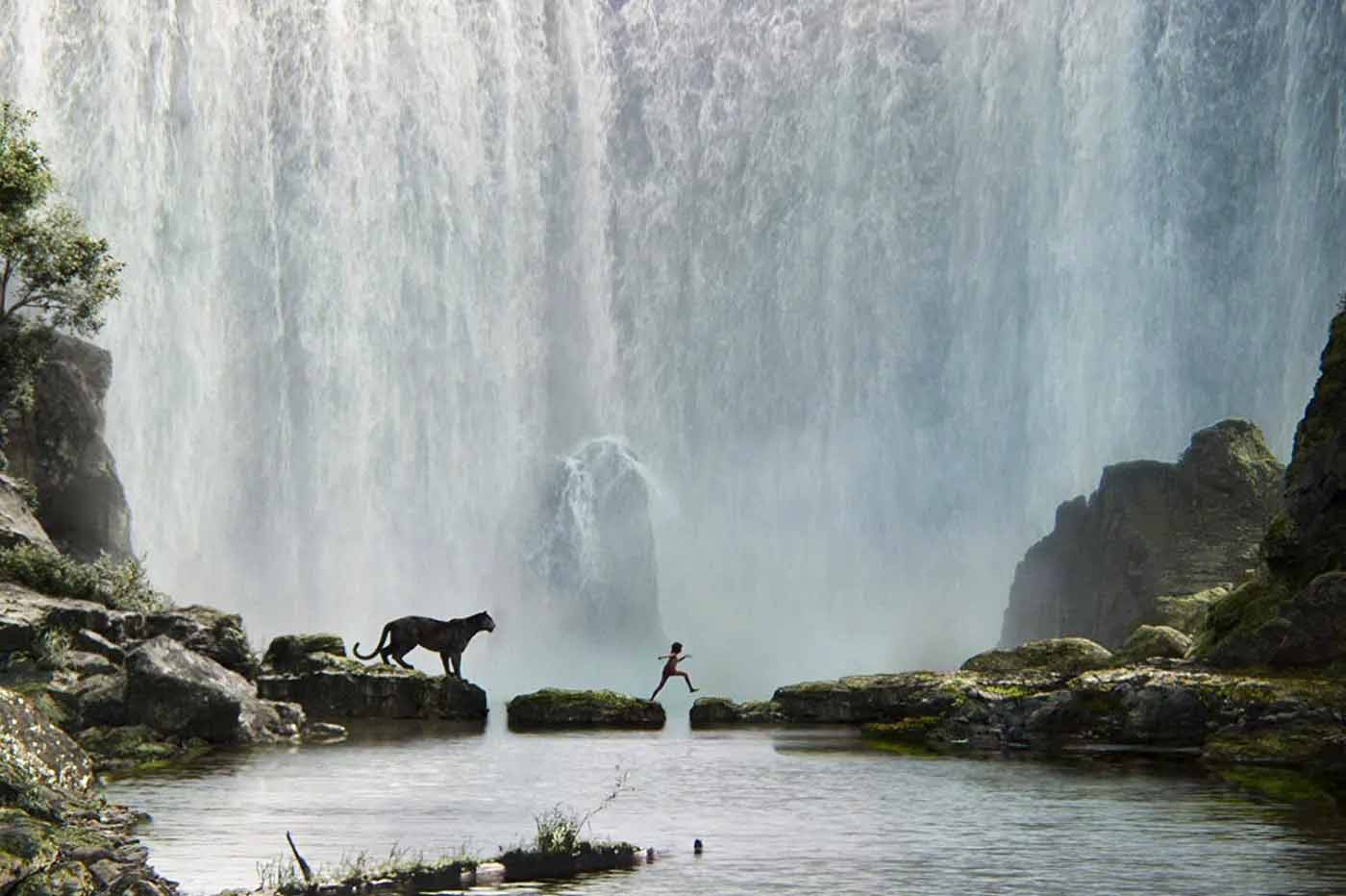 El libro de la selva