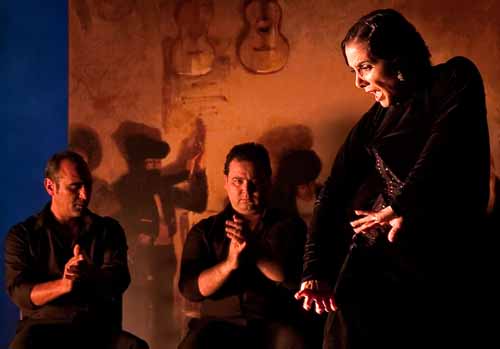 Flamenco, flamenco