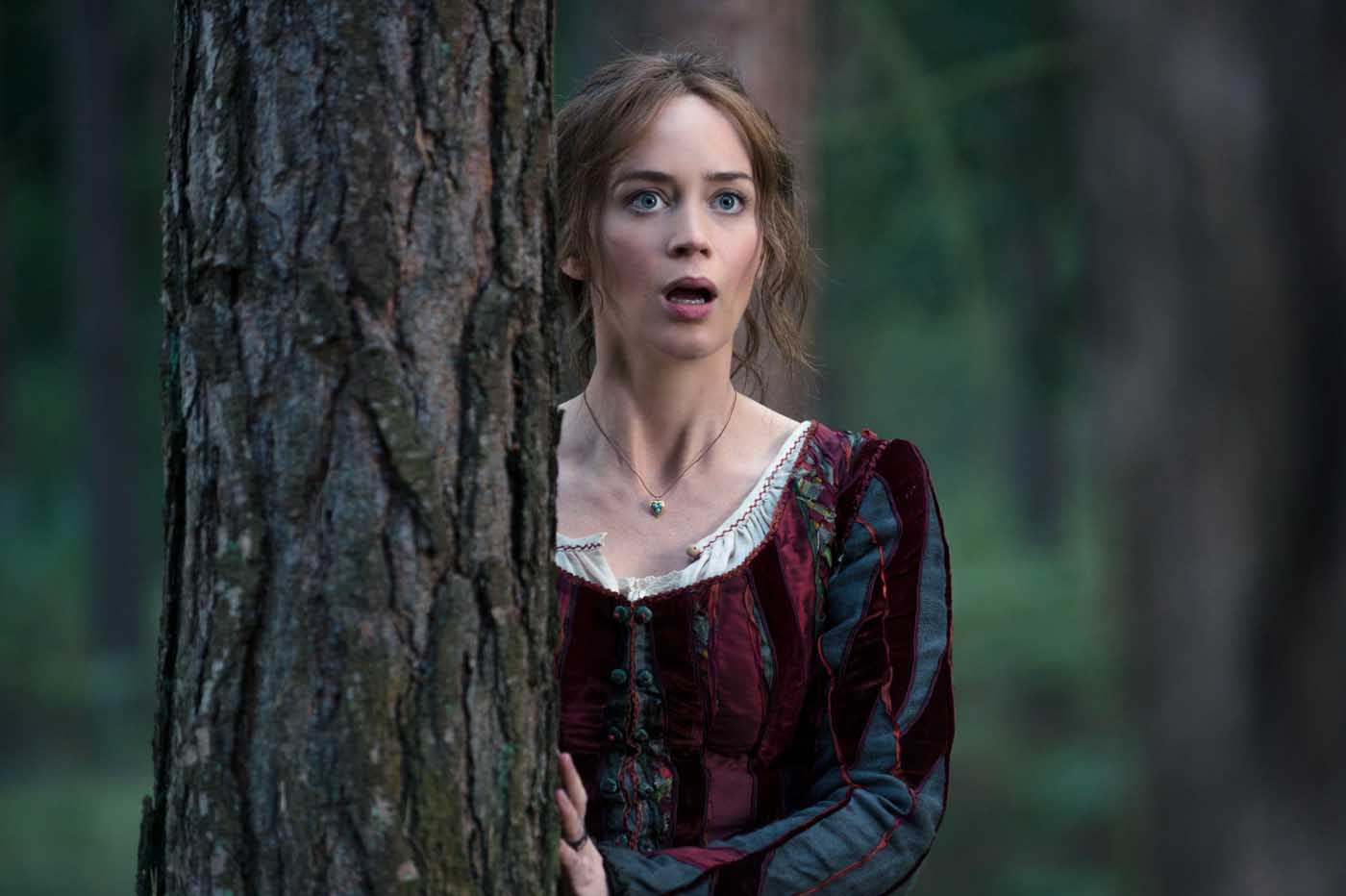 Into the woods