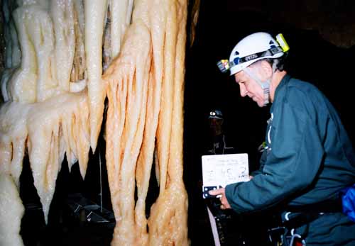 La cueva de los sueños olvidados