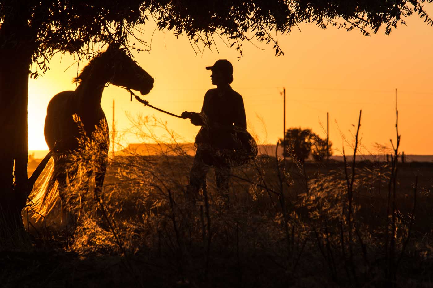 Lean on Pete