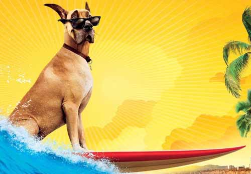 Marmaduke