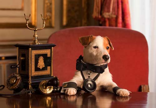 Pancho, el perro millonario
