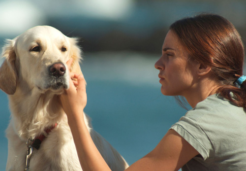 Seis puntos sobre Emma