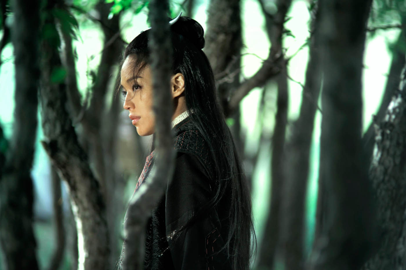 Portada de The assassin