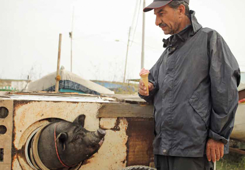 Un cerdo en Gaza