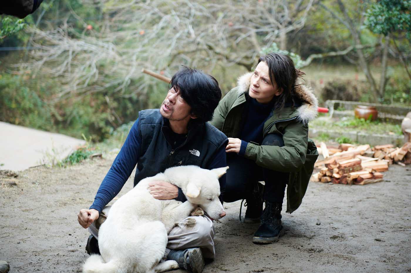 Viaje a Nara (Vision)