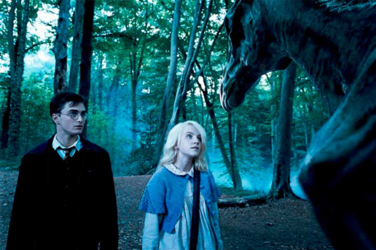 Harry Potter y la Orden del Fénix