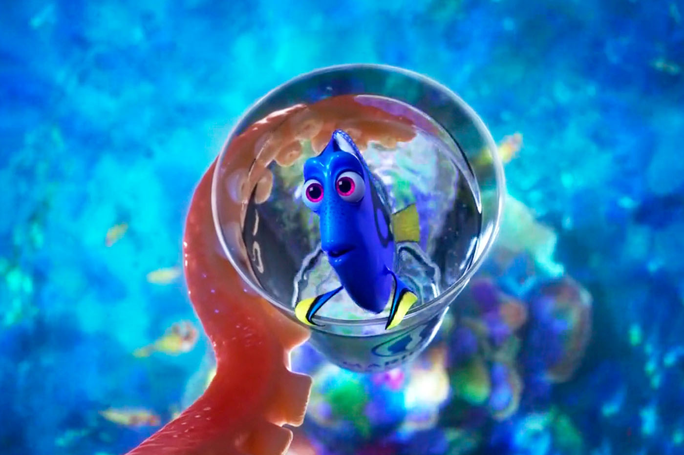 Buscando a Dory