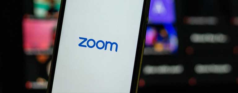 Articulo Zoom