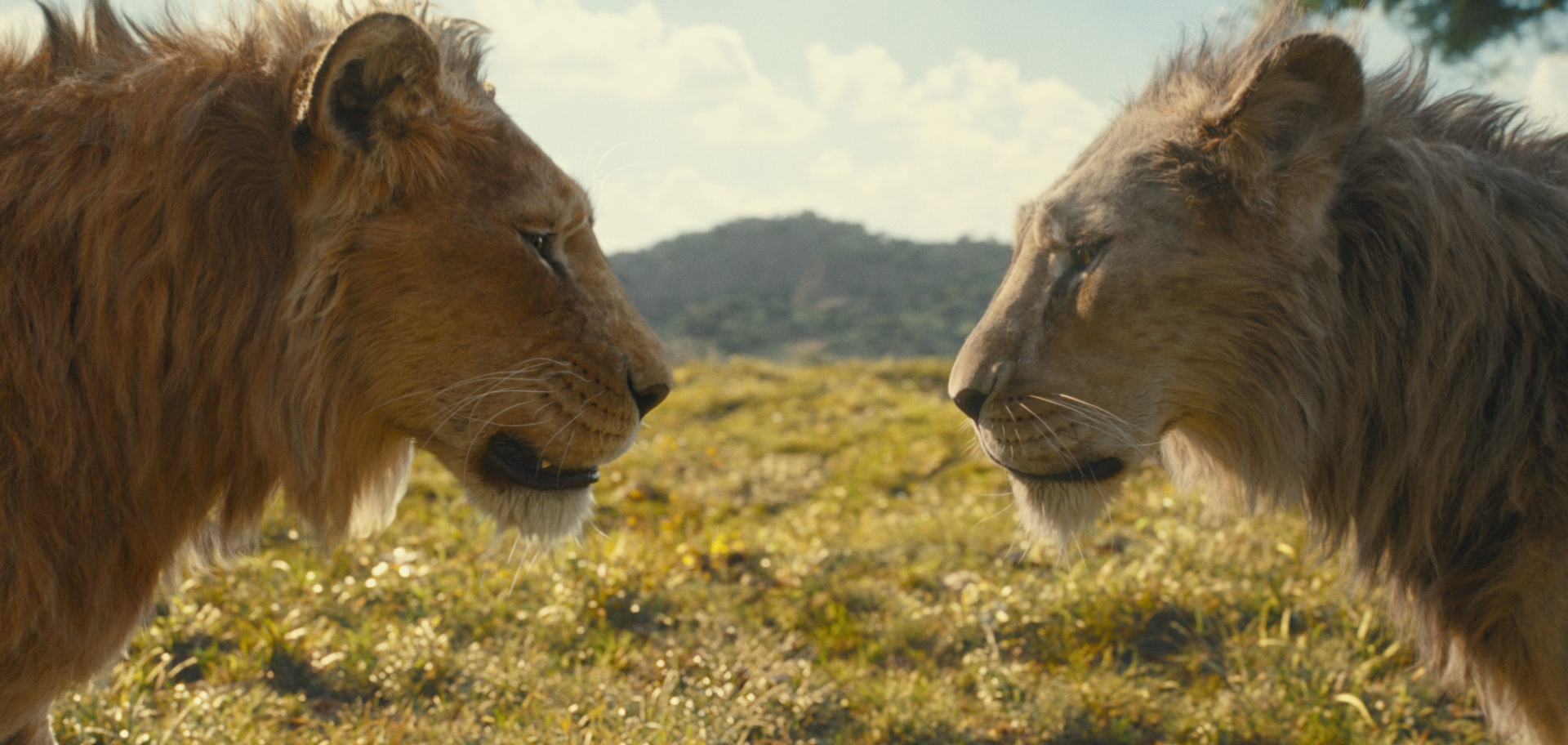 Mufasa: el rey león