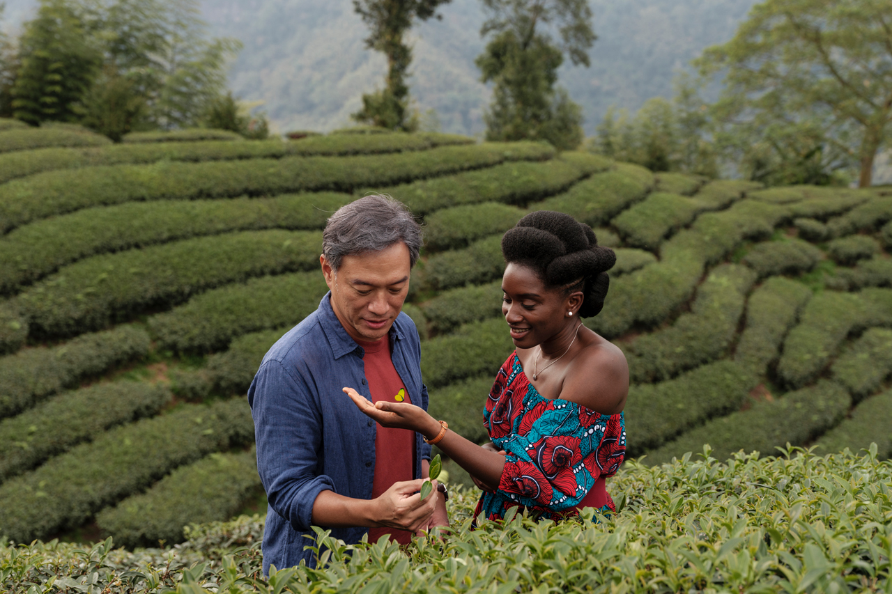 Té negro