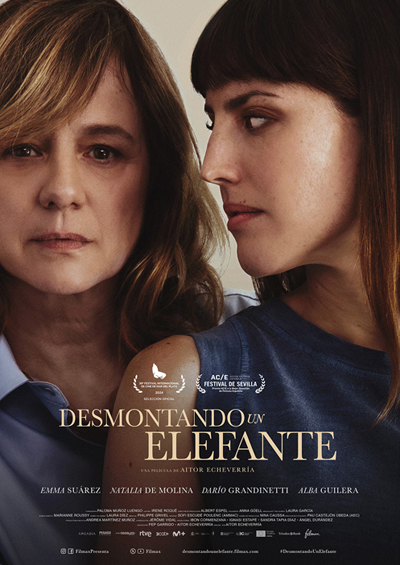 Portada de Desmontando un elefante