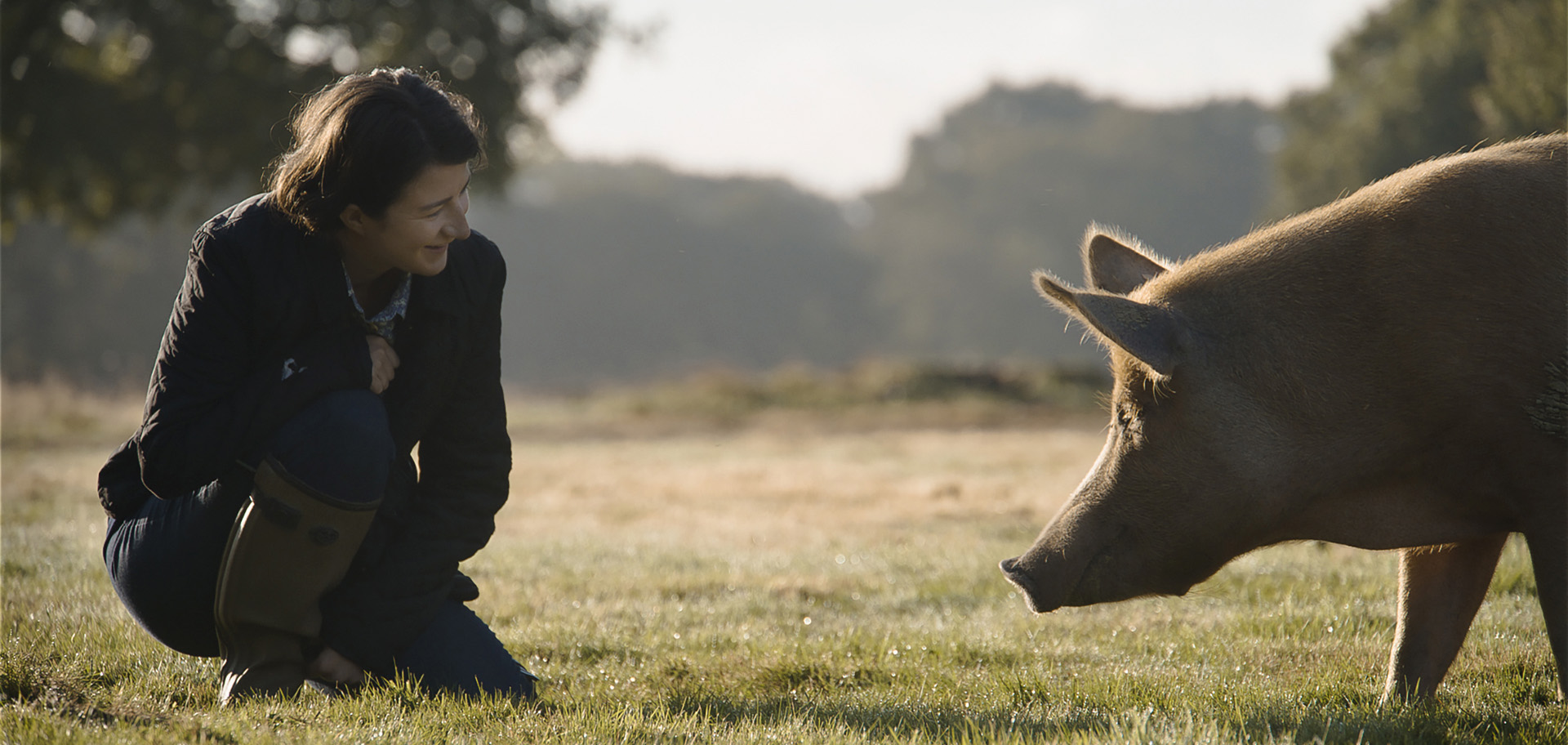 Wilding, el regreso de la naturaleza