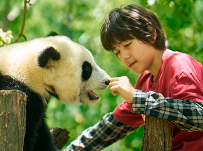 Moon, mi amigo panda