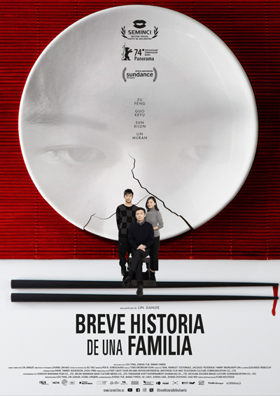 Portada de Breve historia de una familia